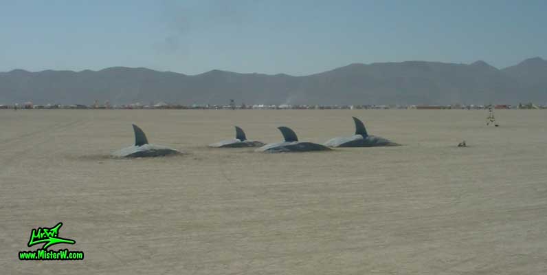 Burning Man - Photography by Mr.W.