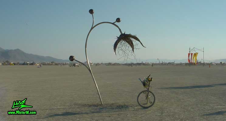 Burning Man - Photography by Mr.W.