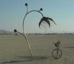 Burning Man 2002 - Photography by Mr.W.