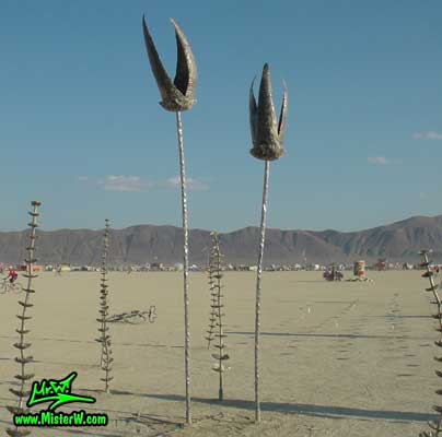 Burning Man - Photography by Mr.W.