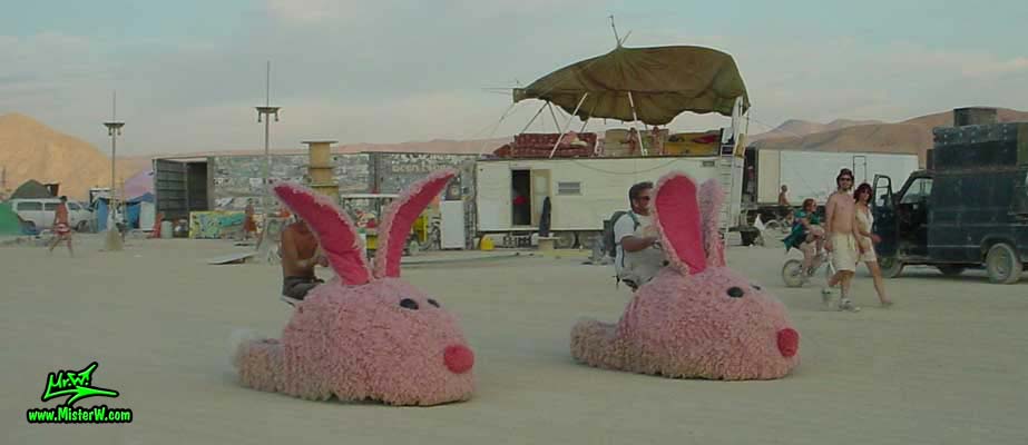 Burning Man - Photography by Mr.W.