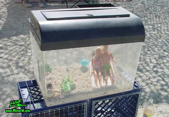 Burning Man - Photography by Mr.W.