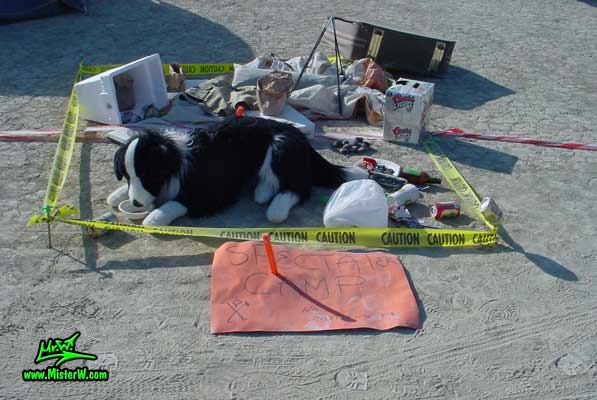 Burning Man - Photography by Mr.W.