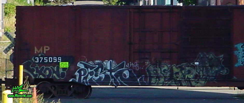 Exon Pesto Bear Freight Train Graffiti