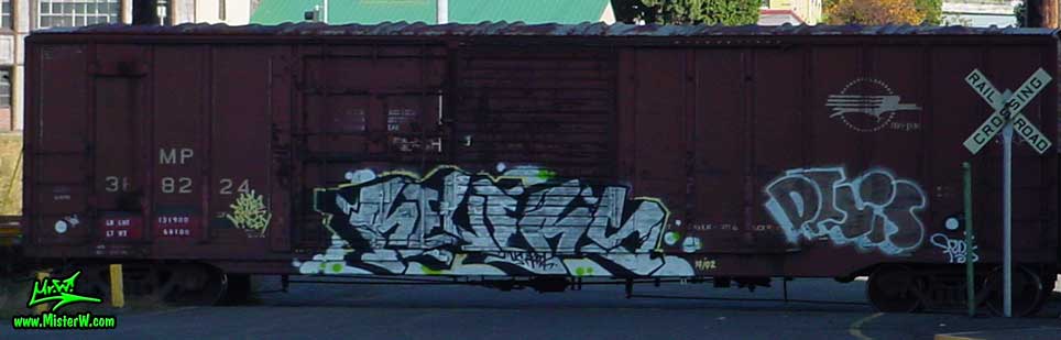 RELERS PENiS Relers Penis Freight Train Graffiti