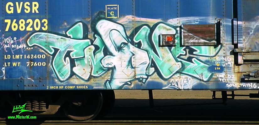 TW :) NE 21 Rak Freight Train Graffiti
