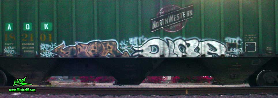 SaeR DIaR Saer Diar Freight Train Graffiti