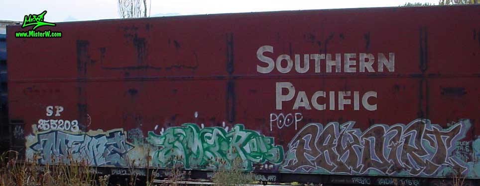 PAY DiRT PayDirt Freight Train Graffiti