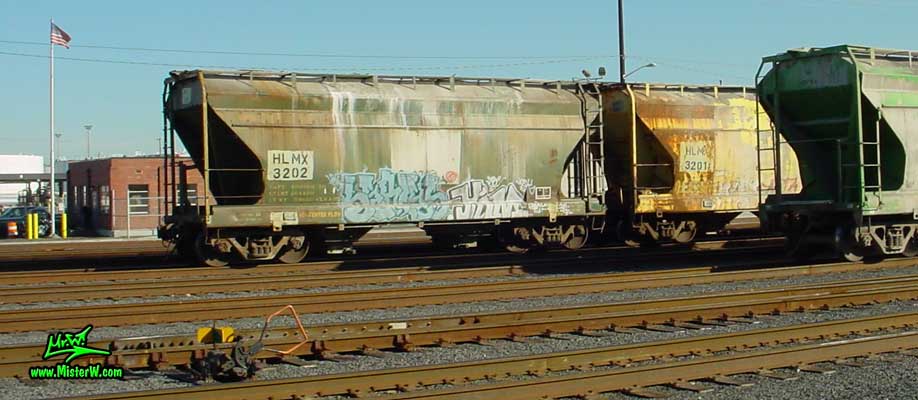 Graffiti Painting Kim Freight Train Graffiti