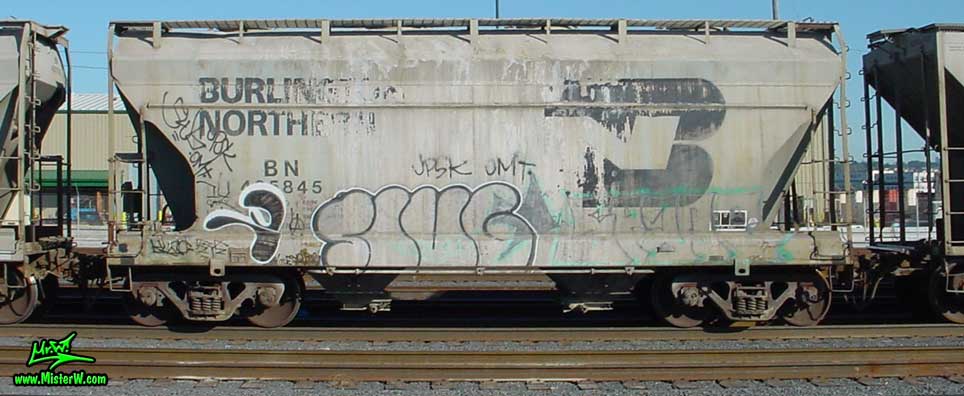 Slug Freight Train Graffiti