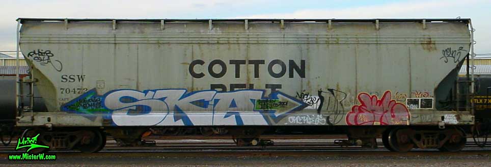 SKA SKA Freight Train Graffiti
