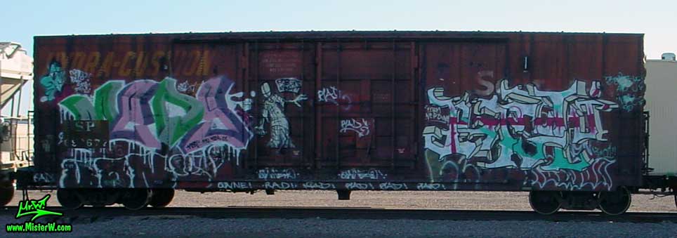 Meds Freight Train Graffiti