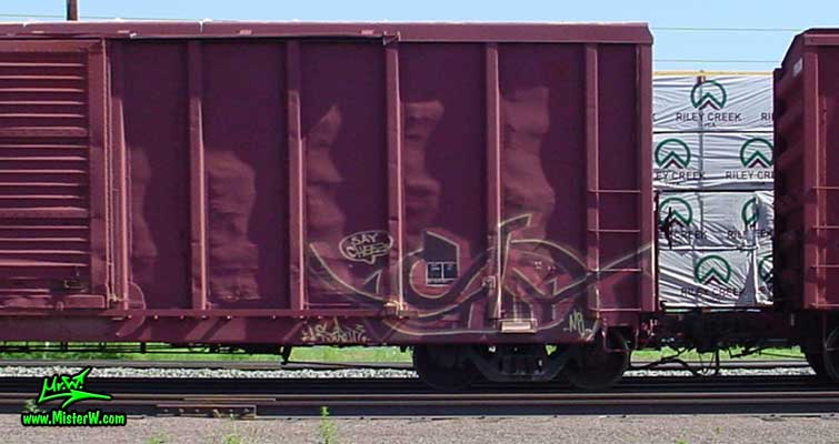 Strut Freight Train Graffiti