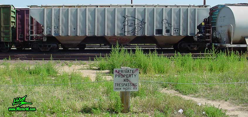 Photo of a Freight Train with Graffiti