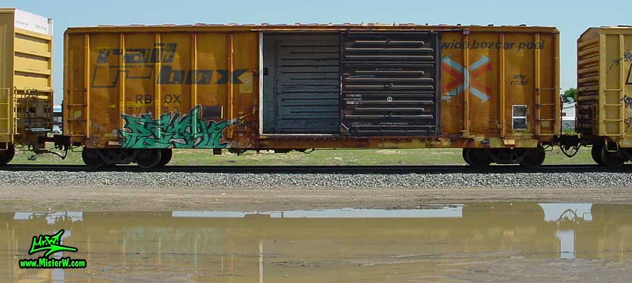 Graffiti Painting Photo of a Freight Train with Graffiti