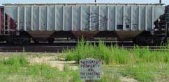 Freight Trains - Graffiti Gallery by Mr.W.