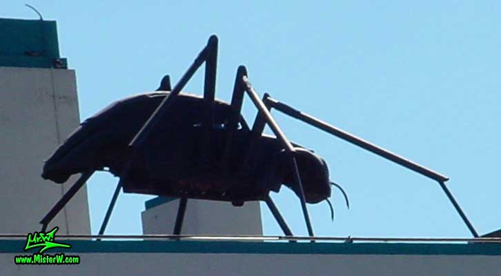 Photo of a Volkswagen Bug Spider Sculpture on top of a Building, taken from 5th Street, summer 2002 VW Beetle Spider Sculpture by David Fambrough in Reno