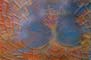Sandpainting by Mr.W.