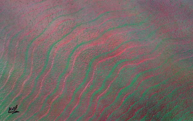 Sandpainting by Mr.W.