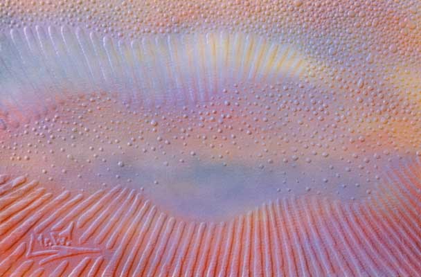 Sandpainting by Mr.W.