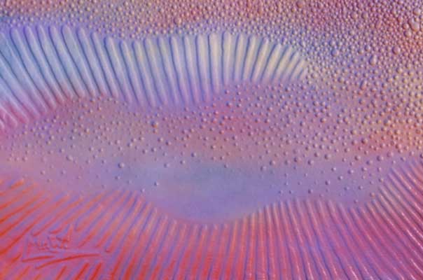 Sandpainting by Mr.W.