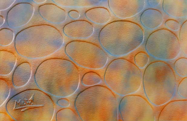 Sandpainting by Mr.W.