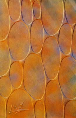 Sandpainting by Mr.W.
